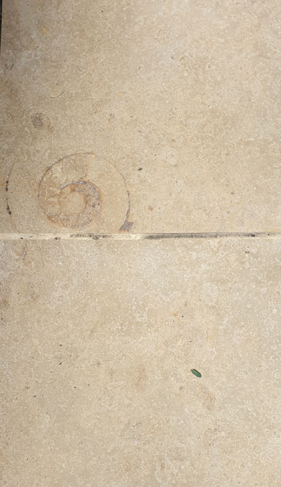 Love the fossils - Jura Beige Limestone